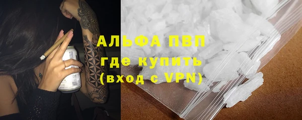 хмурый Няндома