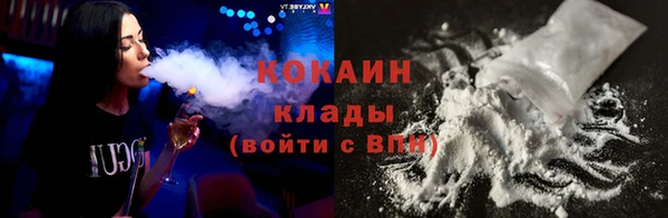 молекула духа Осташков