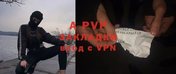 молекула духа Осташков