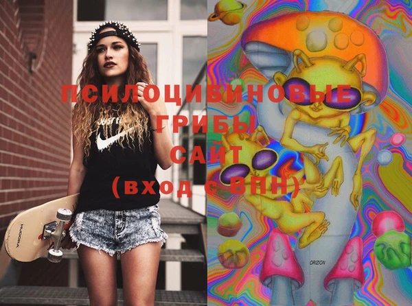 хмурый Няндома