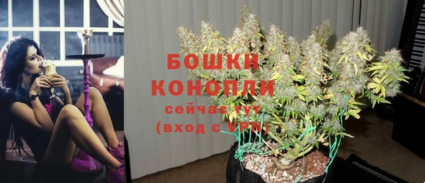 молекула духа Нягань
