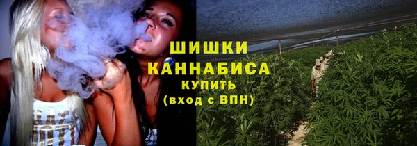 молекула духа Осташков