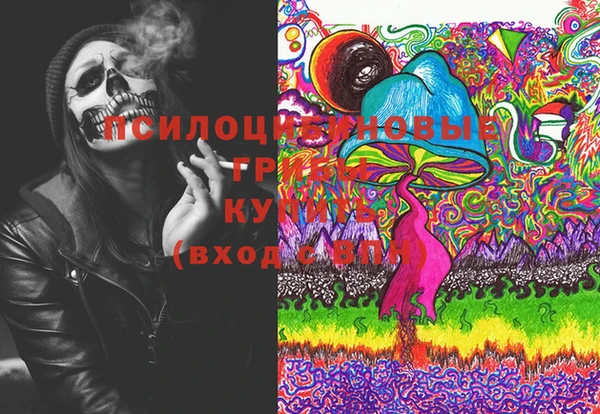соль ск Осинники