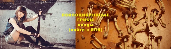 соль ск Осинники