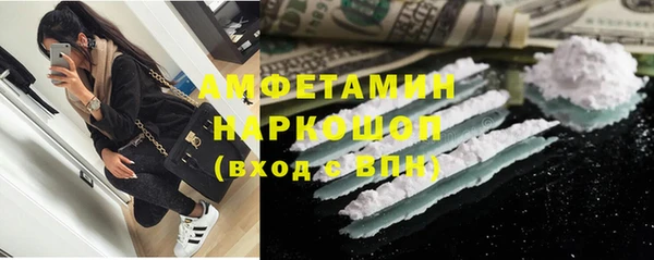 молекула духа Осташков