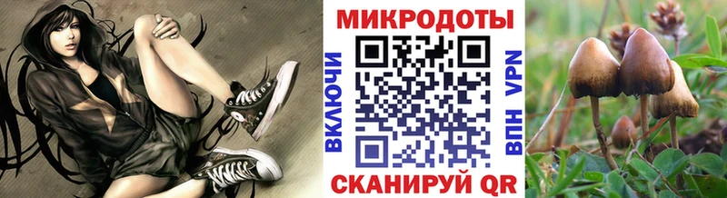 продажа наркотиков  Ряжск  Галлюциногенные грибы прущие грибы 
